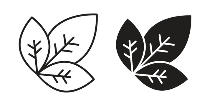 Basil icon. Vector linear icons. simple flat icons