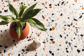 Terracotta pot plant on speckled countertop
