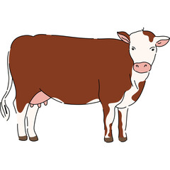 Brown and White Cow Standing Facing Forward with a Transparent Background