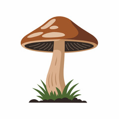 Brown Mushroom Illustration with Grass Vector Isolated on White
