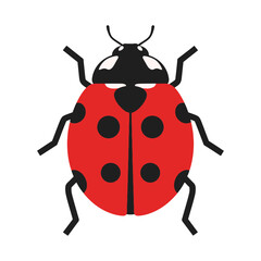 A Ladybug Vector Illustration