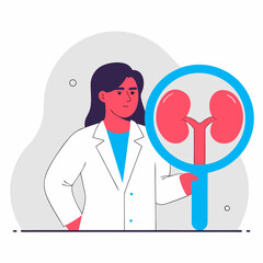Female doctor examining kidney with magnifying glass illustration