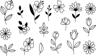 Hand drawn flower doodle set, minimal floral line art vector, simple blossoms and leaves, cute botanical elements, black outline illustration on white