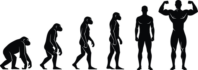 Evolution, human, silhouette, vector, primate, upright, muscular, transformation, anatomy, progress, black, white, posture, biology, science, timeline, development, flexing, illustration, design © Faruk Here