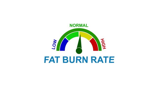 Fat Burn Rate Meter with Low Normal High Indicators and Needle on White Background gauge dial