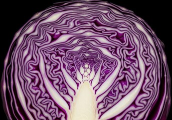 Obraz premium High resolution macro cross section of red cabbage showing intricate purple pattern.