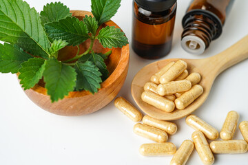 Alternative medicine herbal organic capsule vitamin E omega 3 fish oil drug herbs leaf natural