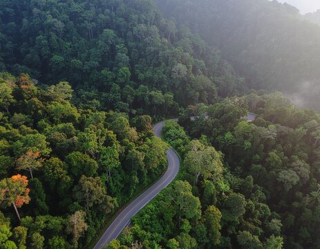 Scenic aerial view of a winding asphalt road cutting through the dense, lush green canopy of a mountain forest