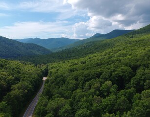 Scenic View of a Mountain Road Winding Through Lush Green Forest Under a Cloudy Sky