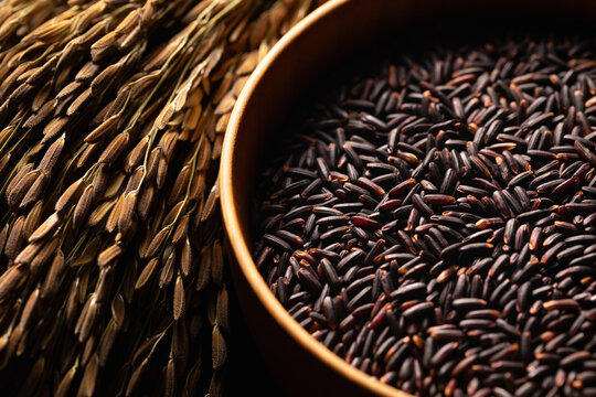 Black rice is in a wooden bowl, with a bunch of black rice ears placed next to it. A close-up of the still life of black rice.