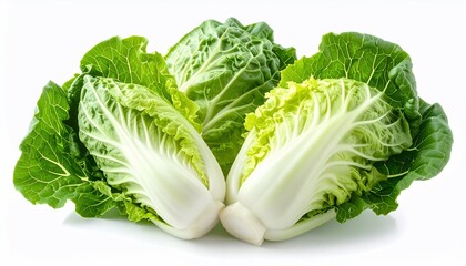 Fresh Baby Bok Choy  Vibrant Green Vegetable Isolated on White Background.