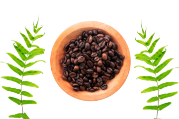 coffee beans and leaves