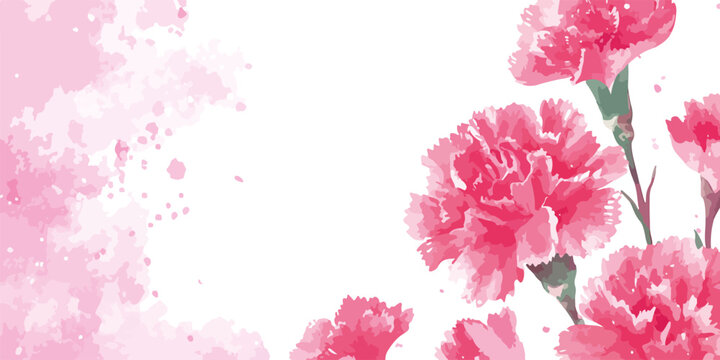 Vetor de cravos cor-de-rosa em aquarela com respingos de tinta em fundo branco