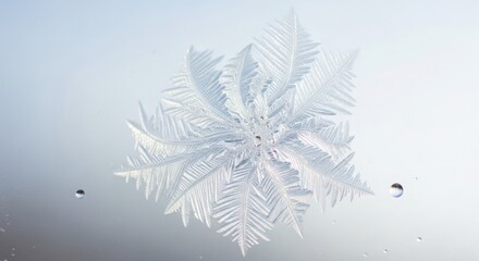 Obraz premium Close-up macro of a delicate snowflake crystal pattern on glass, showing natural symmetry and icy beauty.
