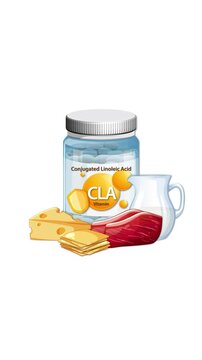 CLA Vitamin Supplement Bottle With Food Sources Animation