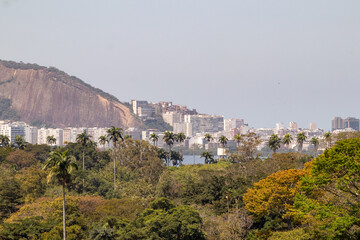 view of the horto neighborhood in rio de janeiro.