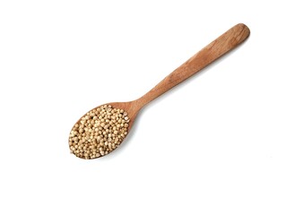 Dried coriander seeds on wooden spoon isolated on white background. Flat lay