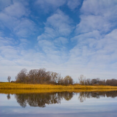 calm river with forest on coast under blue cloudy sky
