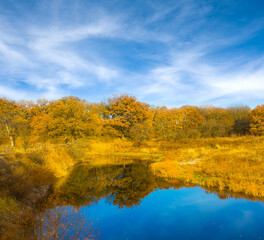 calm river with forest on coast under blue cloudy sky, beautiful autumn seasonal outdoor scene