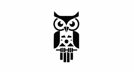 black and white owl