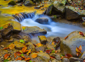 small emerald river flow through mountain canyon covered by red dry leaves, autumn mountain river scene