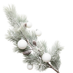 christmas tree branch with snow