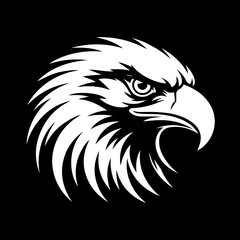 Fierce white eagle head profile against black background bird