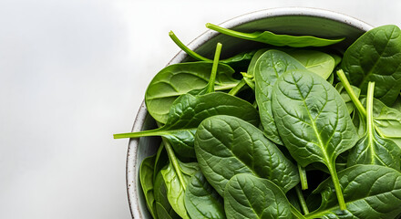 Nutritious spinach leaves bowl verdant copy space top view wholesome fresh vitamin detox raw vibrant vegetable food organic delicious healthy 85656357 1
