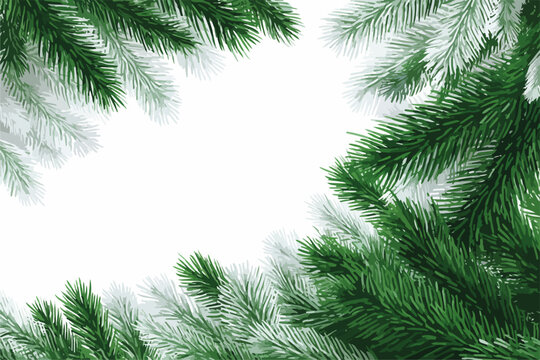 Vektor-Illustration von gr&uuml;nen Tannenzweigen mit wei&szlig;em Hintergrund, ideal f&uuml;r Weihnachtskarten und Winterdekorationen.