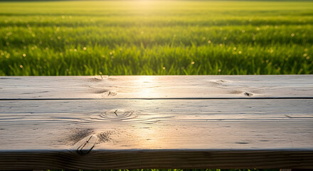 Natural Wooden Farm Table Surface with Green Grass Background and Sunlight Perspective 18811162 1