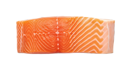Fresh Raw Salmon Fillet isolated on transparent background, PNG.