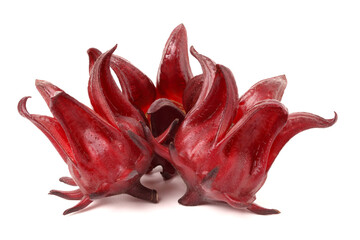  Roselle fresh close up. isolated on white background.