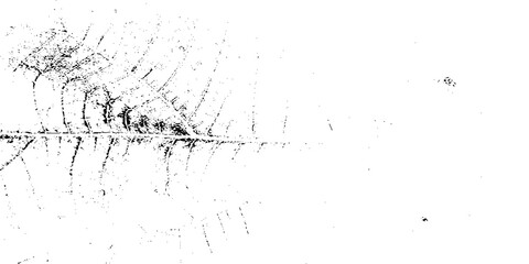 Fototapeta premium Distress urban overlay spotted concrete grain surface grainy noise rust wall grunge black splatter and white background. damaged chalk crack rough ink wall texture. 