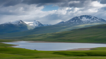 'Serene mountain lake landscape illustration with green meadows and snow-capped peaks under a dramatic cloudy sky'