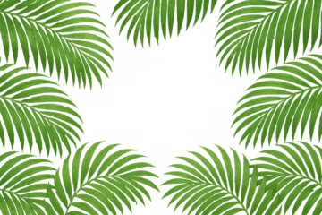 Green tropical palm leaves framing transparent background, natural exotic summer border for design elements