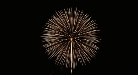 Obraz premium Golden Burst Fireworks Display illuminating the night sky Celebration.