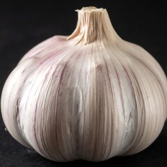 A close-up view presents a whole bulb of the aromatic white-purple striped allium, against a dark backdrop. The texture is rough and papery