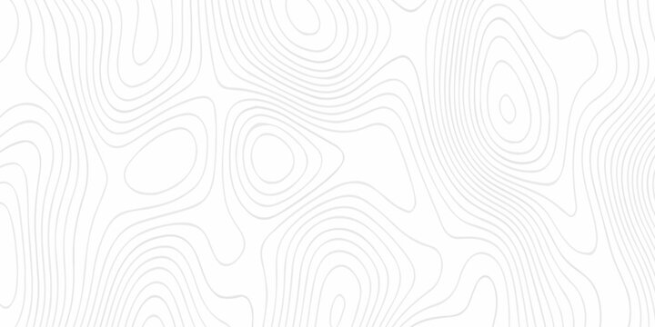 Modern land relief geographic abstract topography map design White background. geometric topographic world grid wave Topographic map geographic line texture.	