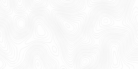 Modern land relief geographic abstract topography map design White background. geometric topographic world grid wave Topographic map geographic line texture.  © haven lklkj11