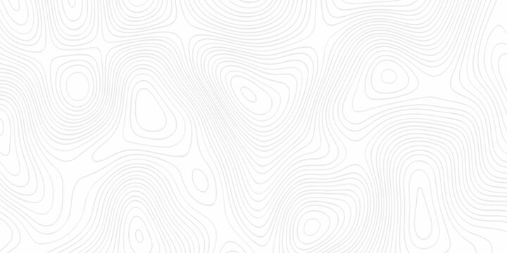 Modern land relief geographic abstract topography map design White background. geometric topographic world grid wave Topographic map geographic line texture.	