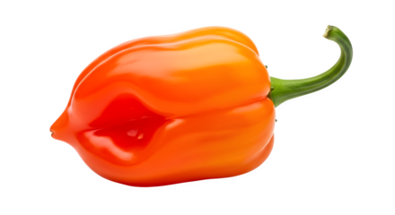 red bell pepper