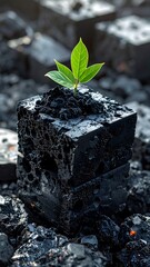 A green sprout emerges from porous black blocks atop rubble in a vertical composition
