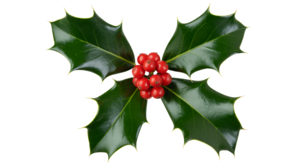 Vibrant holly sprigs with glossy red berries evoke holiday cheer and natural beauty