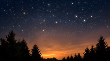 A serene night sky filled with bright stars and celestial formations above silhouetted evergreen trees at twilight