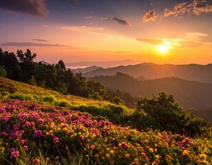 Fototapeta premium Mountain meadow blooms, sunset lights layered distant peaks