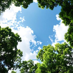 Lush trees frame a vibrant sky