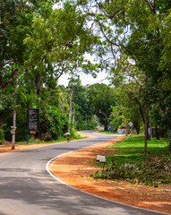 Obraz premium Winding Rural Road Through Lush Tropical Greenery