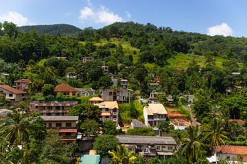 Obraz premium Vibrant hillside residential neighborhood with colorful houses and tropical greenery