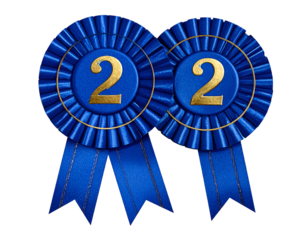 Two blue rosettes, each with gold numeral 2 and streamers