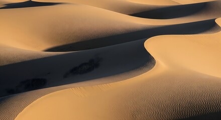 Panoramic view of sweeping desert sand dunes showing sharp curves, textured sand, and dramatic light and shadow contrast.